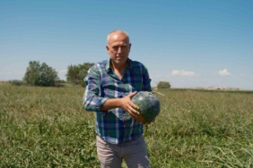 Sözleşmeli ekti 3 bin 500 ton karpuzu tarlada kaldı
