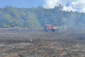 Kırklareli’nde örtü yangını: 25 dekar alan zarar gördü