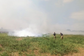 Manyas ve Bandırma arasında sazlık alanda yangın çıktı