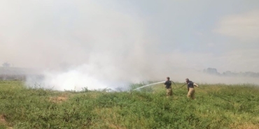 Manyas ve Bandırma arasında sazlık alanda yangın çıktı