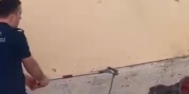 Konut bahçesinde 1,5 metre uzunluğunda yılan görüldü