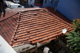 Edirne’de mahallede fare paniği