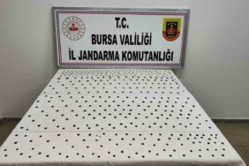 Jandarma’dan İznik’te tarihi operasyon