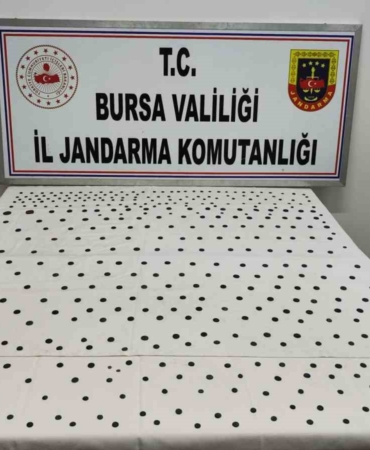 Jandarma’dan İznik’te tarihi operasyon