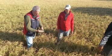 Çanakkale’de dolunun ardından bahçelerde hasar tespit çalışmaları başladı