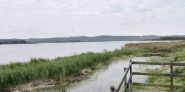 Sakarya’nın alüvyon set gölü can çekişiyor: Su seviyesi 8 metreden 2 metreye düştü