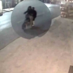 Sakarya’da elektrikli bisiklet ve kamyonet çalan zanlılar İstanbul’da yakalandı