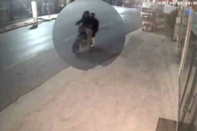 Sakarya’da elektrikli bisiklet ve kamyonet çalan zanlılar İstanbul’da yakalandı