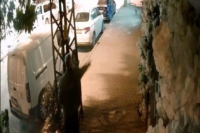 Kapalı olan kuaförün camlarına yumurta fırlattı