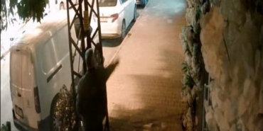 Kapalı olan kuaförün camlarına yumurta fırlattı