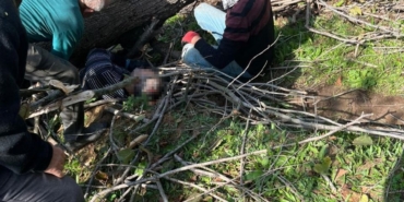 Kestiği ağacın altında kalan kişi yaralandı