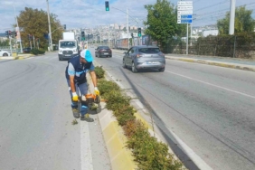 İzmit’te sonbahar budaması