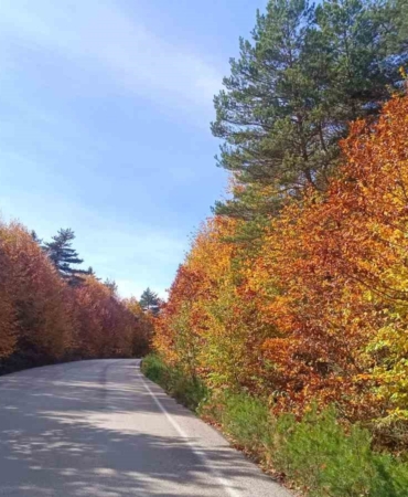 Bozcaarmut’da sonbahar büyüsü