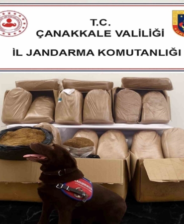 Çanakkale’de kaçakçılık operasyonu