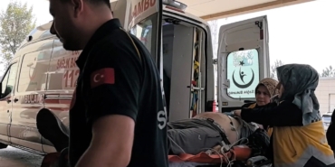 Ağaçtan düşen adam hayatını kaybetti