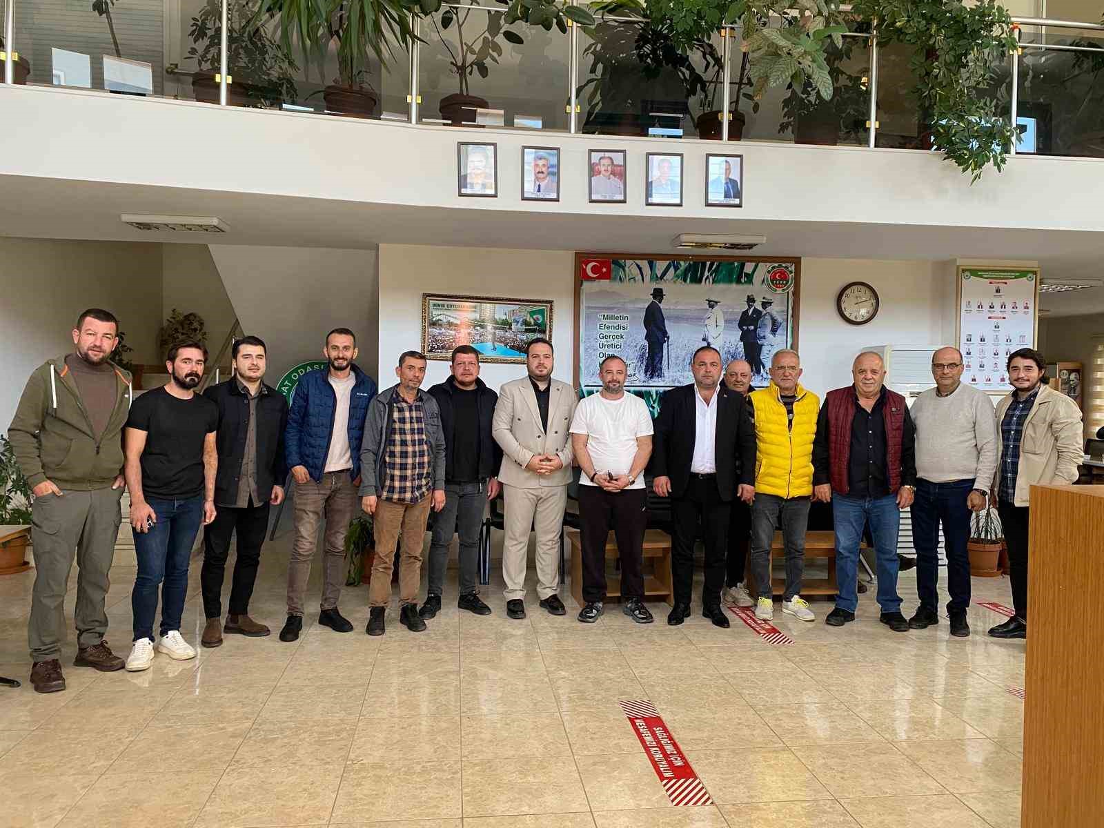 Zeytinin kilogram maliyeti açıklandı