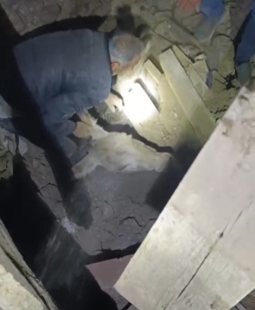 Sındırgı’da enkaz altında kalan eşek canlı kurtarıldı