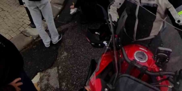 Ataşehir’de direğe çarpan martı kalp masajıyla hayata döndü