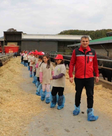 Minikler tarımı yerinde öğrendi