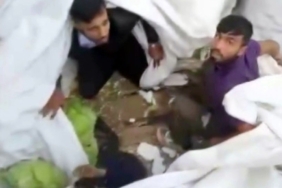 Lahana yüklü tırdan kaçak göçmenler çıktı