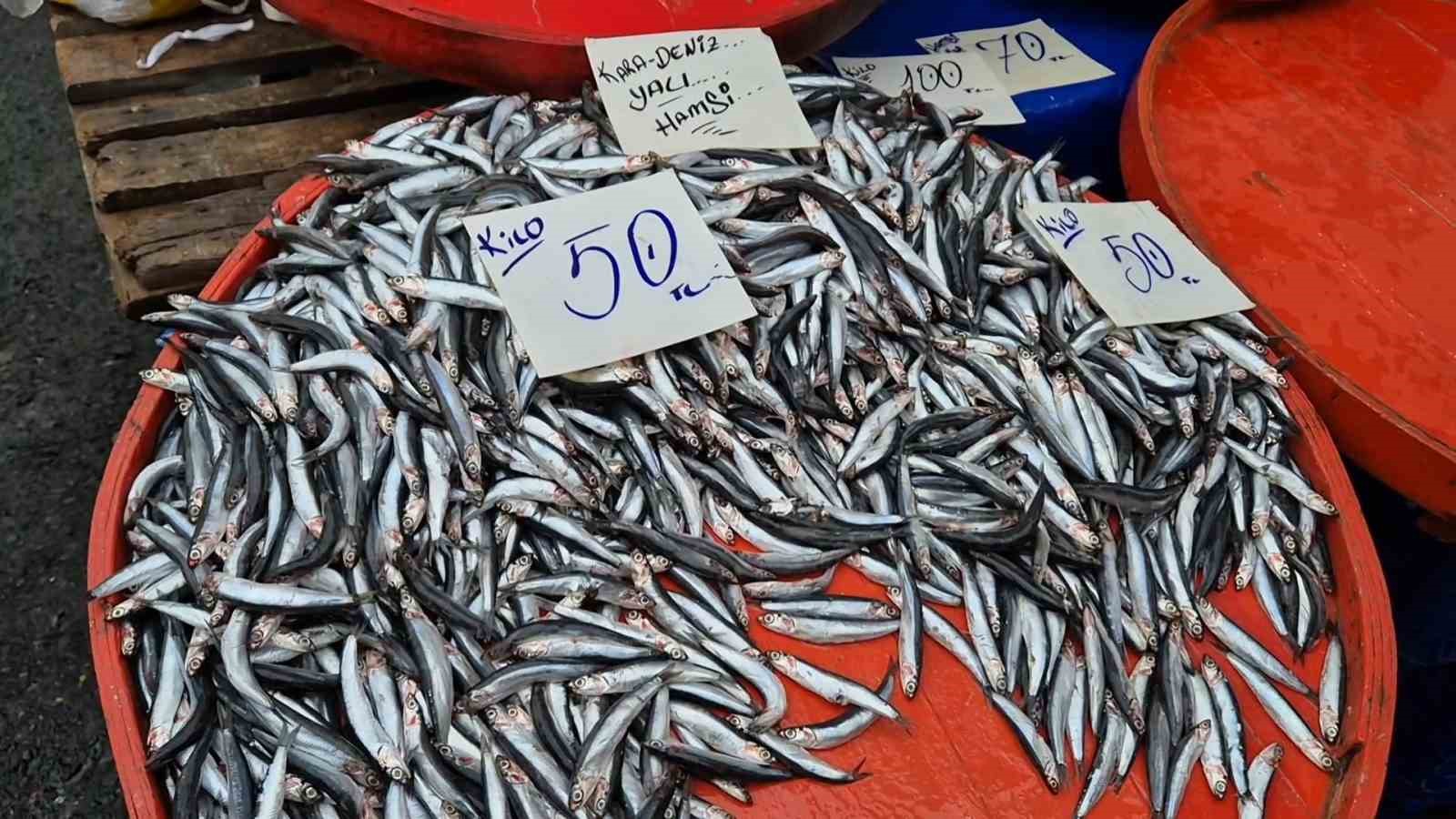 Tekirdağ’da hamsinin kilosu 50 liraya kadar düştü