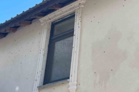 Kahverengi kokarca böceği istilası