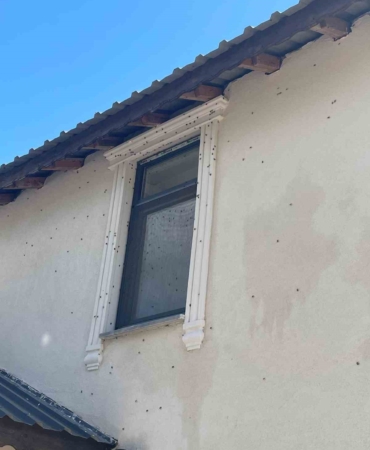 Kahverengi kokarca böceği istilası