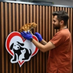 Balıkesir’de can dostlar Büyükşehir eliyle güvende