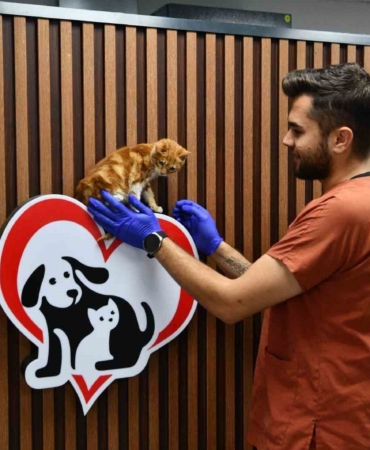 Balıkesir’de can dostlar Büyükşehir eliyle güvende