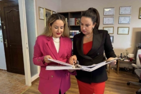 Avukat kediye nafaka olayını yorumladı: "Emsal bir protokol"