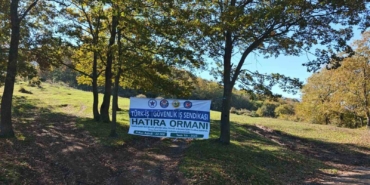 Sakarya’da yeşil geleceğe katkı: 22 bin fidan toprakla buluştu