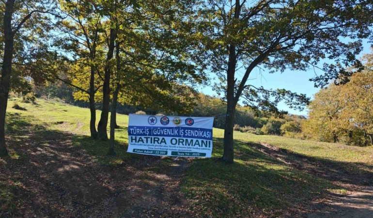 Sakarya’da yeşil geleceğe katkı: 22 bin fidan toprakla buluştu