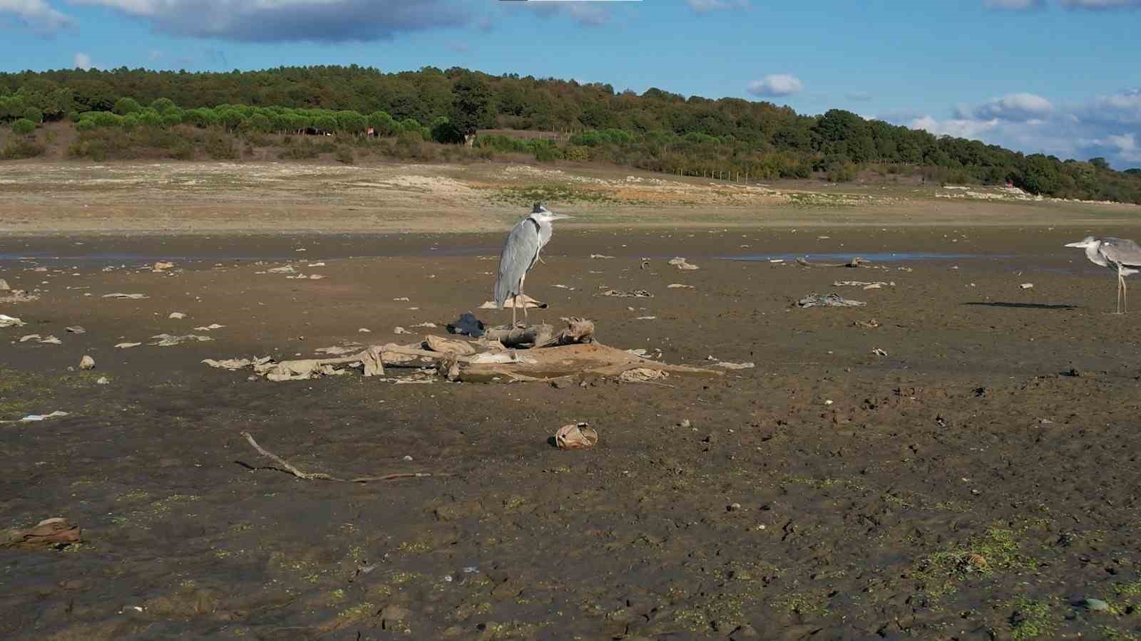 Megakentin en büyük barajı alarm veriyor