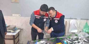Hayrabolu’da balık satış yerleri denetlendi