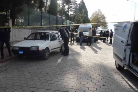 Park halindeki araçta ölü bulundu