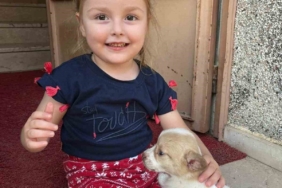 Hayatta olmayan Berra’yı MEBBIS’e kayıt edip okula geldi gibi göstermişler