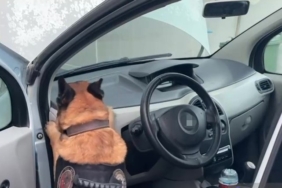 Otomobilde zulalanmış 46 kilo 840 gram uyuşturucu ele geçirildi