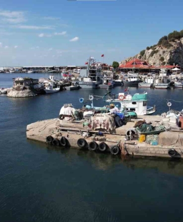 Şile’de bu yıl palamut avı beklenenin çok altında kaldı