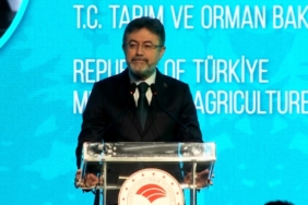 Yeşil Vatan’dan dünya ormancılığına": İstanbul Orman İnovasyon Haftası Başladı