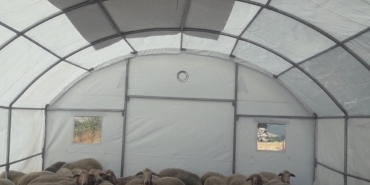 Sındırgı’da depremden etkilenen üreticilere geçici hayvan barınma çadırı desteği