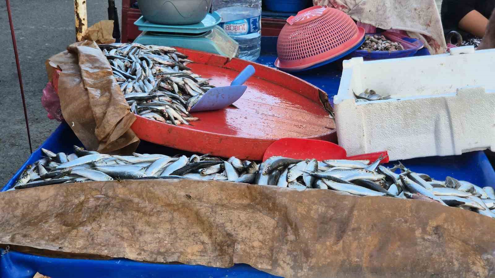 Seyyar balıkçı: "Bu senenin balığı sardalya"