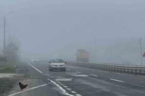 Tekirdağ-Muratlı karayolunda yoğun sis etkili oldu