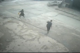 Fareyi süpürgeyle kovaladı, arkadaşı şut atar gibi tekme attı