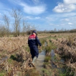 Kaçak avcılıkta kullanılan 6 avcı kulübesi imha edildi