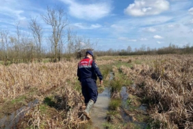 Kaçak avcılıkta kullanılan 6 avcı kulübesi imha edildi