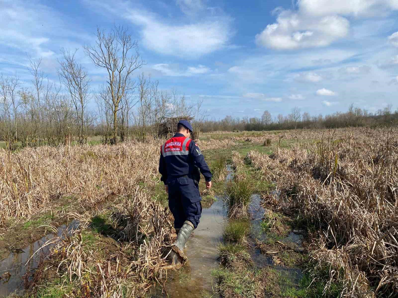 Kaçak avcılıkta kullanılan 6 avcı kulübesi imha edildi