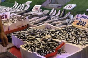 Palamudun yokluğunu Karadeniz’in vazgeçilmezi hamsi tamamlıyor