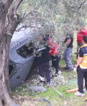 Kontrolü kaybetti zeytin bahçesine uçtu: 2 yaralı