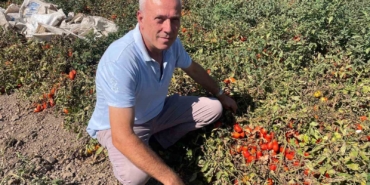 Londra’da kazandıklarıyla memleketine toprak yatırımı yaptı