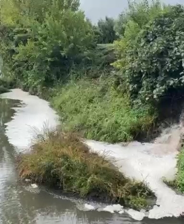 Gemlik Körfezi’nde kirlilik endişeye yolaçıyor